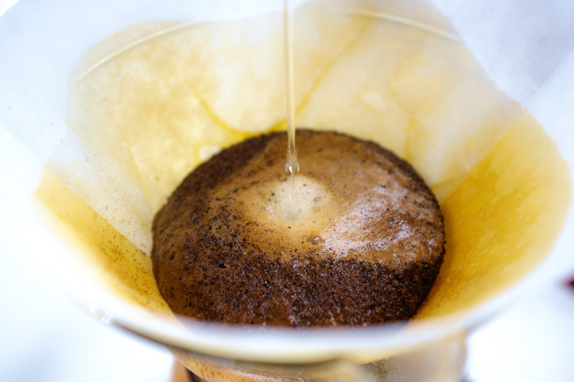 Kaffeesatz verwenden: Vorteile und clevere Anwendungstipps